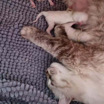 d509365c-d5a2-409e-aafd-f568a427ed04