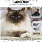 affiche-expo-laignesdu-30avril-et-1-mai20229298